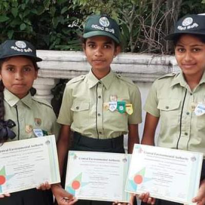  පරිසර බට